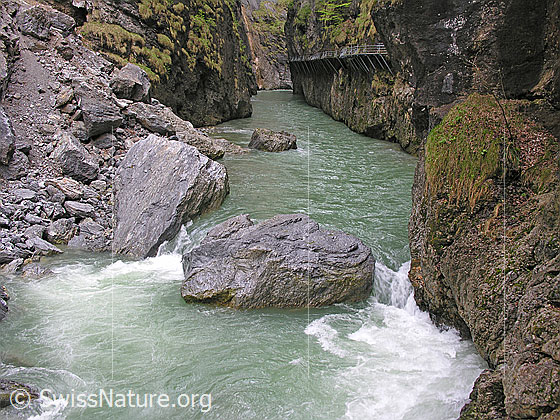 Foto: Felsblock, welcher mitten in der Aare liegt und diese leicht staut. Rechts Teil des Stegs, welcher durch die Aareschlucht führt.