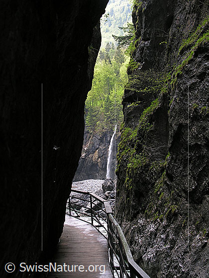 Foto: Blick durch eine enge Stelle der Schlucht auf den Wasserfalls eines Baches, welcher von der Seite einmündet. Im Vordegrund Teil des Stegs, welcher durch die Aareschlucht führt.