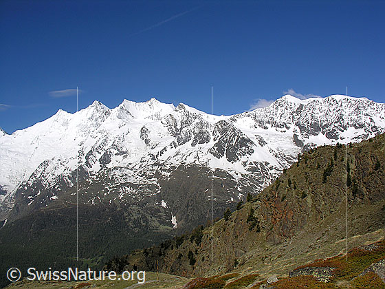 Foto: Mischabel und Ulrichshorn von E.
Gipfel: Täschhorn - Dom - Lenzspitze - Nadelhorn - Stecknadelhorn - Ulrichshorn - Balfrin.
