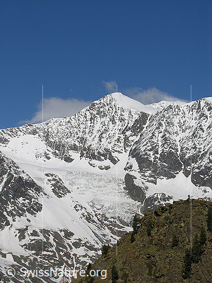 Foto: Balfrin, davor der Bidergletscher.