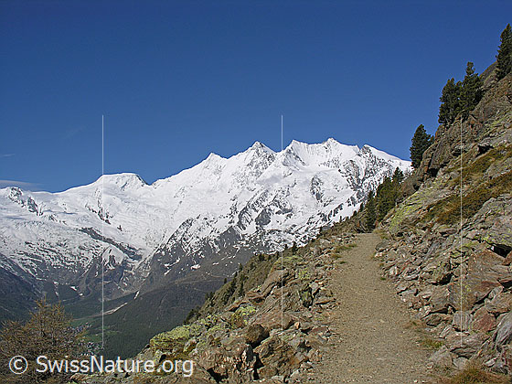 Foto: Wanderweg vor Alphubel und Mischabel.
Gipfel: Feekopf - Alphubel - Täschhorn - Dom - Lenzspitze - Nadelhorn - Stecknadelhorn - Ulrichshorn.