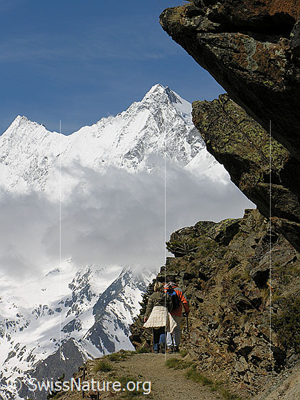 Foto: In Fels gehauener Wanderweg. Im Hintergrund Täschhorn und Dom.