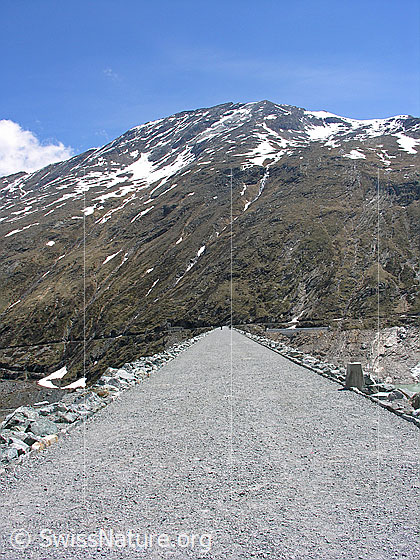 Foto: Blick über den eindrücklichen Staudamm Richtung E zum Nollenhorn.