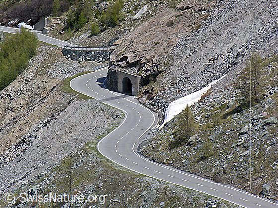 Foto: Die gut ausgebaute Zufahrtstrasse zum Stausee Mattmark passt sich in einer Wellenline dem Gelände an. Am Strassenrand ist ein Tunnelportal zu sehen.