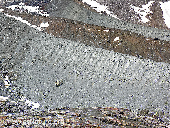 Foto: Ausschnitt aus der Seitenmoräne des Allalingletschers.