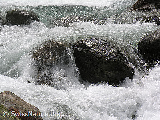 Foto: Sprudelnder Mässerbach bei Lengenbach