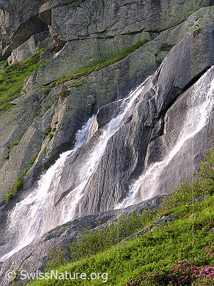 Foto: Wasserfall, welcher im Abendlicht über Grimselgranit in die Tiefe stürzt.