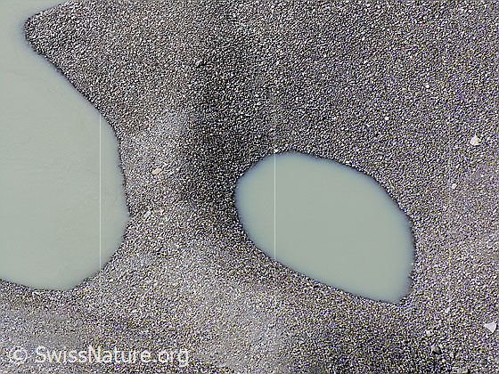 Foto: Am Seeufer des Grimselsees bilden sich bei tiefem Wasserstand interessante Formen.