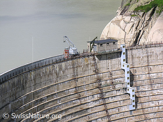 Foto: Blick über die Krone der Staumauer Spittellamm auf den Grimselsee.