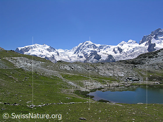 Foto: Am Riffelsee mit Blick zu Monte Rosa (Nordend, Dufourspitze, Parrotspitze), Grenzgletscher, Liskamm, Castor und Polux.
