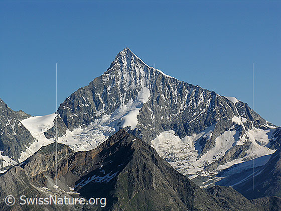Foto: Schalijoch und Weisshorn mit Mettelhorn im Vordergrund.