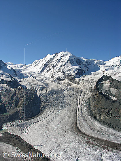 Foto: Blick vom Gornergrat über den Gornergletscher und Grenzgletscher zum Liskamm.