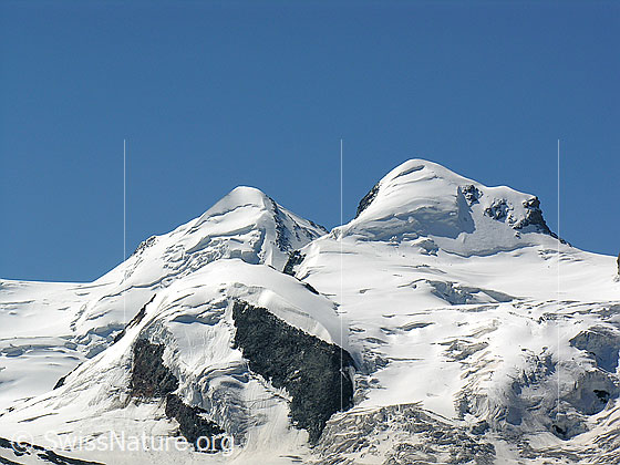Foto: Castor, Polux und Schwärzegletscher. Vorgelagert ist der Klein Polux zu sehen.