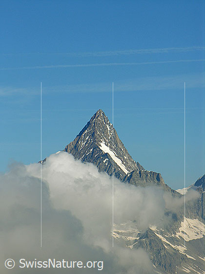 Foto: Gipfel des Finsteraarhorn von Süden. Der Berg ist von Wolken umgeben.