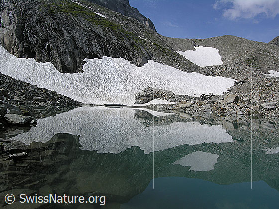Foto: Spiegelung eines Schneefeldes im Mättitalsee.