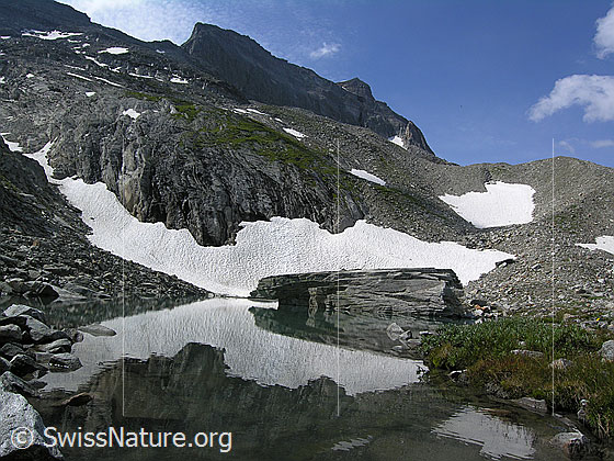Foto: Spiegelung eines grossen Felsblocks und eines Schneefelds im Mättitalsee. Im Hintergrund ist das Hillehorn zu sehen.
