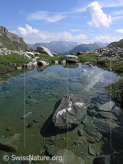 Foto: Kleines Wasserbecken im Mättital mit klarem Wasser und Felsblöcken.