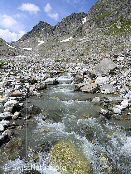 Foto: Ein erfrischender Bergbach (Mättitalwasser) fliesst ruhig zwischen zahlreichen Steinen und Felsblöcken hindurch. Im Hintergrund sind Steinejoch und Rothorn zu sehen.