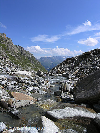 Foto: Ein Bergbach (Mättitalwasser) fliesst ruhig zwischen zahlreichen Steinen und Felsblöcken hindurch.