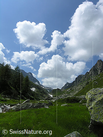 Foto: Blick ins urtümliche Mättital mit Felsblöcken im saftig grünem Gras, einigen Lärchen und weissen Quelwolken am blauen Himmel. Hinten im Hochtal sind Hillehorn und Rothorn zu sehen.