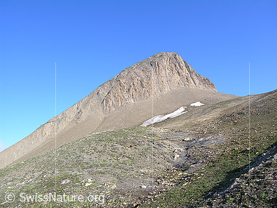 Foto: Blick vom Furggulti zum Holzjihorn.