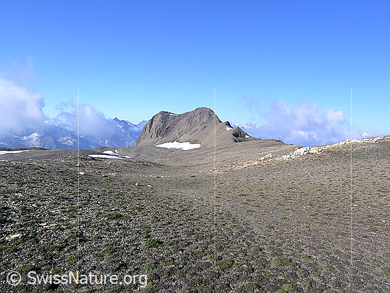 Foto: Blick vom Rappegrat über eine steppenähnliche Fläche zum Holzjihorn.