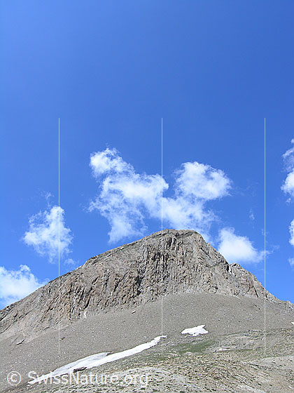 Foto: Holzjihorn von E.