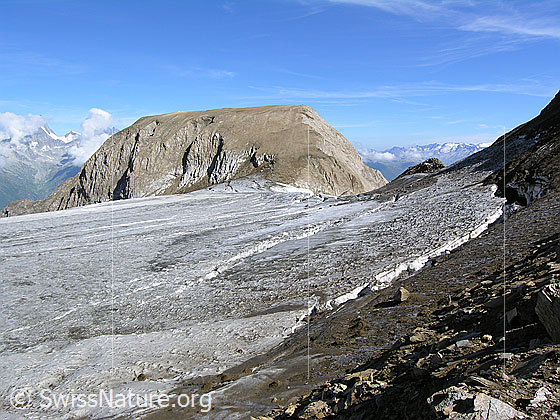 Foto: Gletscherlandschaft Rappegletscher mit Rappehorn und Bergschrund.
