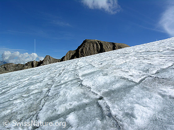 Foto: Muster in der Eisoberfläche des Rappegletschers. Im Hintergrund ist das Rappehorn zu sehen.
