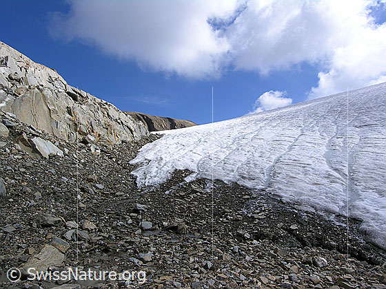 Foto: Gletscherrand des Rappegletschers. Schmelzwasser fliesst als kleine Bäche über das Gletschereis. Beim Gletschrrückzug wird Geröll freigelegt. Links im Bild ist ein Felsband zu sehen.