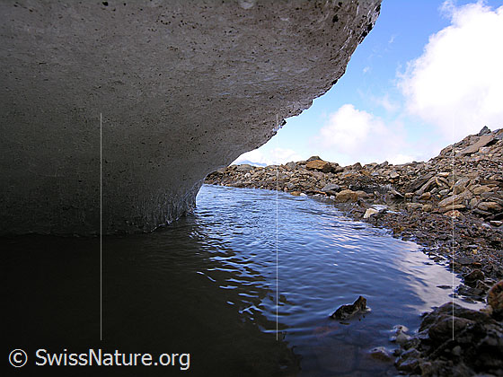 Foto: Gletschereis und Gletscherbach am Rand des Rappegletschers. In der Umgebung liegt viel Geröll.