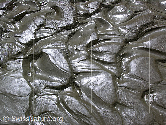 Foto: Muster in Schlick in einem Gletschervorfeld.