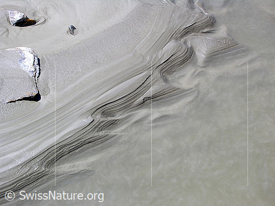 Foto: Feines Relief in Schlick in einem Gletschervorfeld.