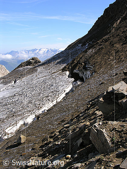 Foto: Rappegletcher mit Bergschrund am Ober Rappehorn.