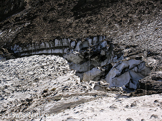 Foto: Rappegletcher mit Bergschrund am Ober Rappehorn.