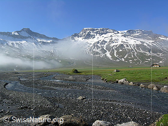 Foto: Morgenstimmung mit aufreissendem Nebel auf der Engstligenalp. Der mehrfach verzweigte Bergbach (Seitenarm des Engstligenbachs) fliesst ruhig über die Hochebene. Im Hintergrund sind Steghorn und Wildstrubel zu sehen.
