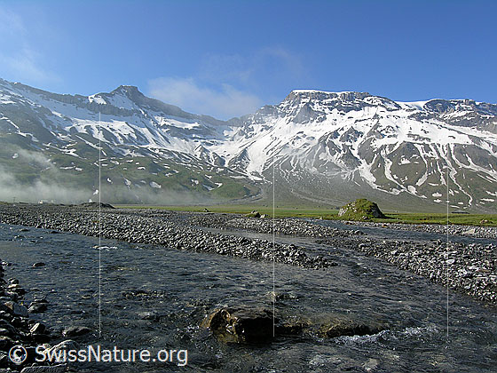 Foto: Morgenstimmung mit aufreissendem Nebel auf der Engstligenalp. Der mehrfach verzweigte Bergbach (Seitenarm des Engstligenbachs) fliesst ruhig über die Hochebene. Im Hintergrund sind Steghorn und Wildstrubel zu sehen.