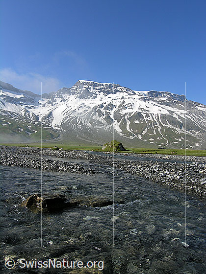Foto: Morgenstimmung mit aufreissendem Nebel auf der Engstligenalp. Der mehrfach verzweigte Bergbach (Seitenarm des Engstligenbachs) fliesst ruhig über die Hochebene. Im Hintergrund sind Steghorn und Wildstrubel zu sehen.