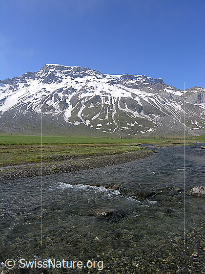 Foto: Ein Bergbach (Seitenarm des Engstligenbachs) fliesst ruhig über die Hochebene der Engstligenalp. Im Hintergrund ist der Wildstrubel zu sehen.