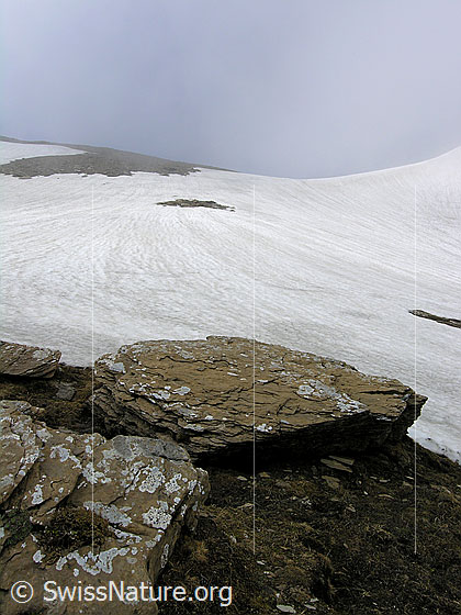 Foto: Felsplatten und grosses Schneefeld am Ammertenpass. Der leichte Nebel verleiht eine geheimnisvolle Stimmung.