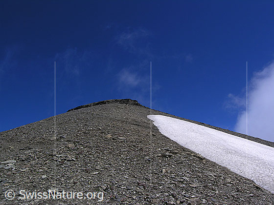 Foto: Kleine Pyramide am Ammertengrat mit feinem Geröll und einem Schneefeld.