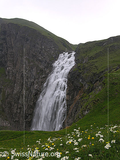 Foto: Grosser Wasserfall (Engstligenfälle) mit Blumenwiese im Vordergrund. Das Wasser stürzt tosend über eine hohe Felswand.