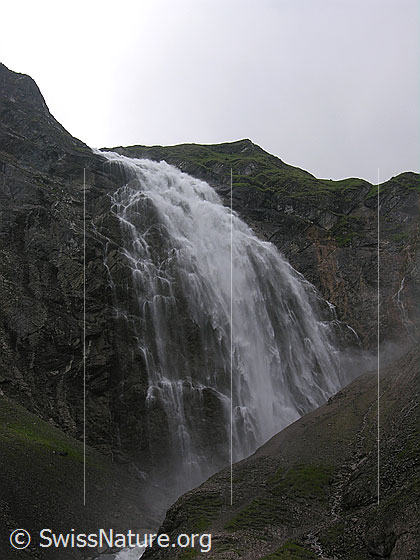 Foto: Grosser Wasserfall der Engstligenfälle. Das Wasser stürzt tosend über eine hohe Felswand in eine Schlucht.