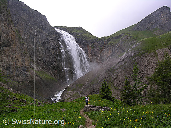 Foto: Grosser Wasserfall der Engstligenfälle. Das Wasser stürzt tosend über eine hohe Felswand in eine Schlucht und fliesst weiter unten als sprudelnder Bergbach ins Tal.
