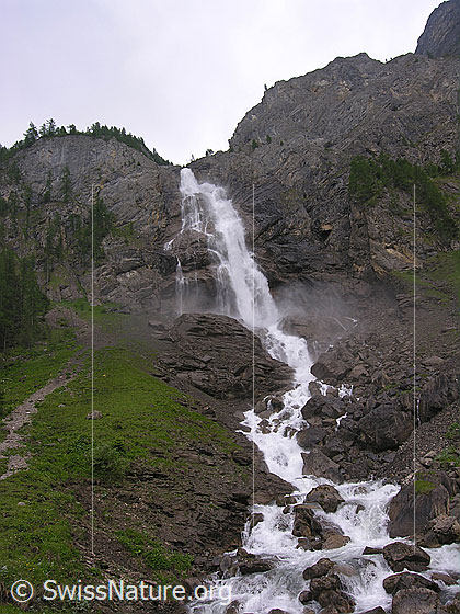 Foto: Wasserfall der Engstligenfälle. Das Wasser stürzt tosend über eine hohe Felswand und fliesst weiter unten als sprudelnder Bergbach ins Tal.