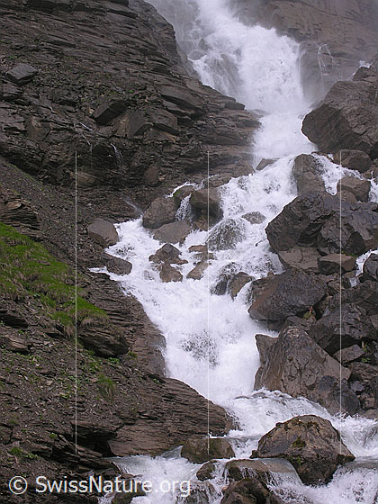 Foto: Der Engstligenbach fliesst als schäumender und sprudelnder Bergbach zwischen Felsblöcken hindurch.