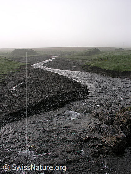 Foto: Nebel auf der Engstligenalp. Ein Bergbach fliesst ruhig über die Hochebene.