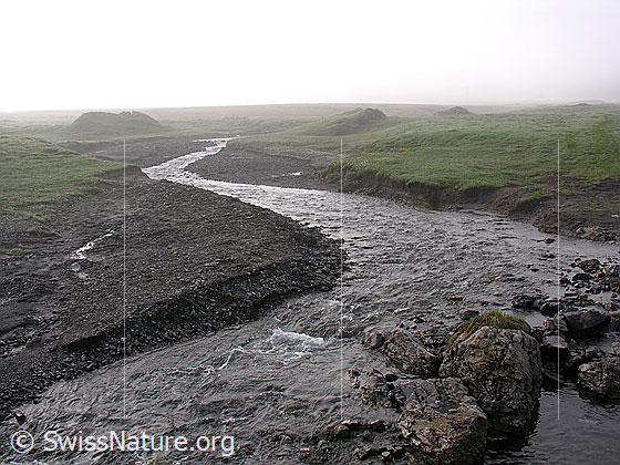 Foto: Nebel auf der Engstligenalp. Ein Bergbach fliesst ruhig über die Hochebene.