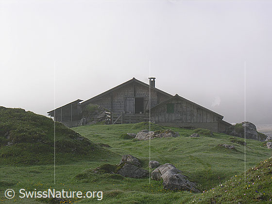 Foto: Stimmungsvoll in Nebel gehüllte Alphütte.