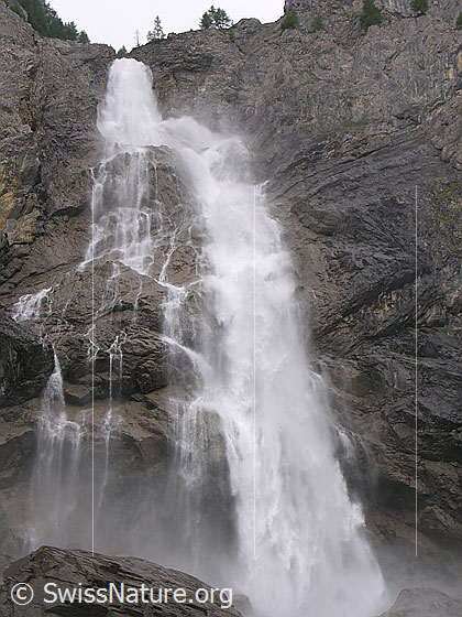 Foto: Grosser Wasserfall (Engstligenfälle). Das Wasser stürzt tosend über eine hohe Felswand.